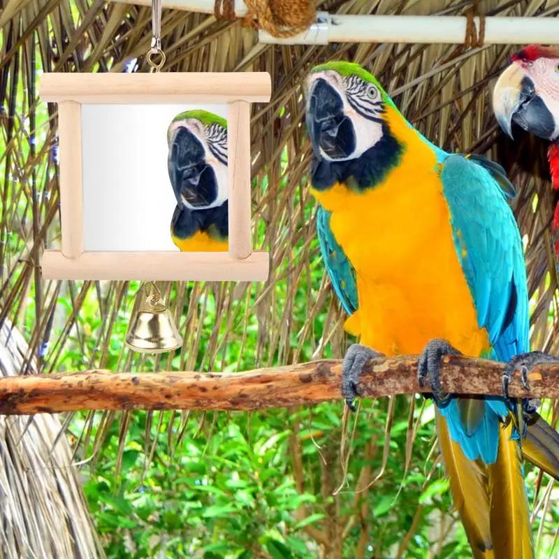    ſ, ȣ ۿ  峭, ֿ   ſ, Budgies Parrot Conure Lovebird  ׼